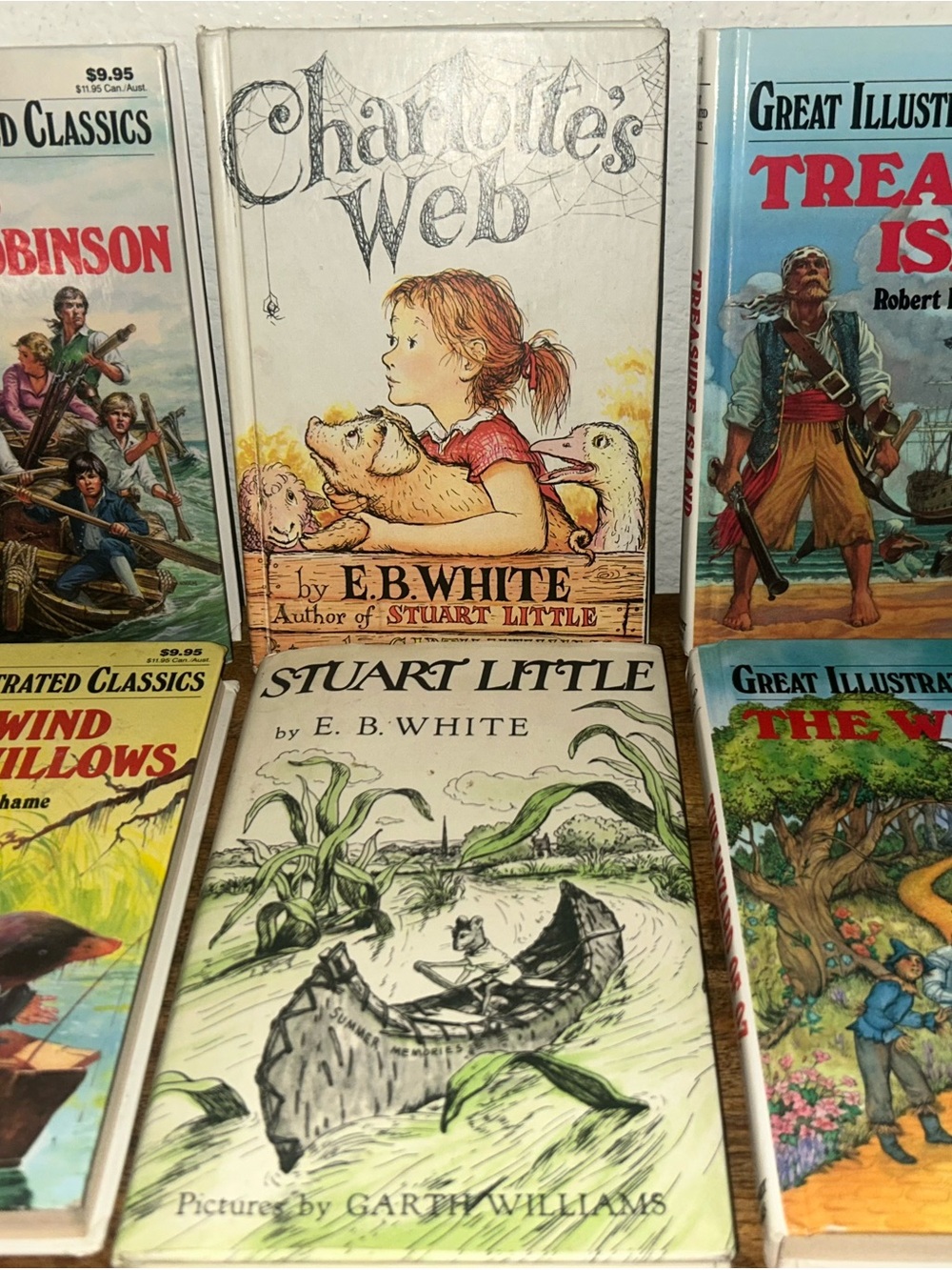 Kids Chapter Books